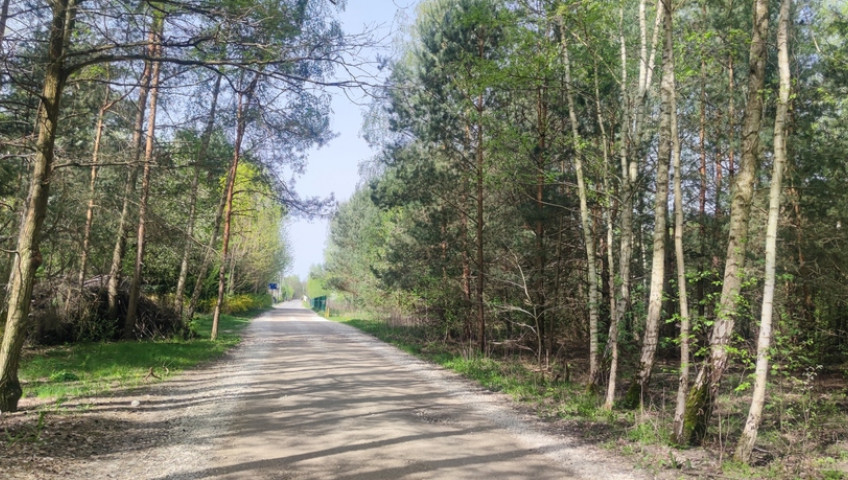Działka Sprzedaż Wyględy